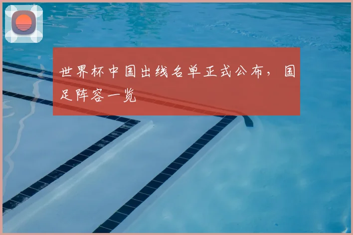 世界杯中国出线名单正式公布，国足阵容一览
